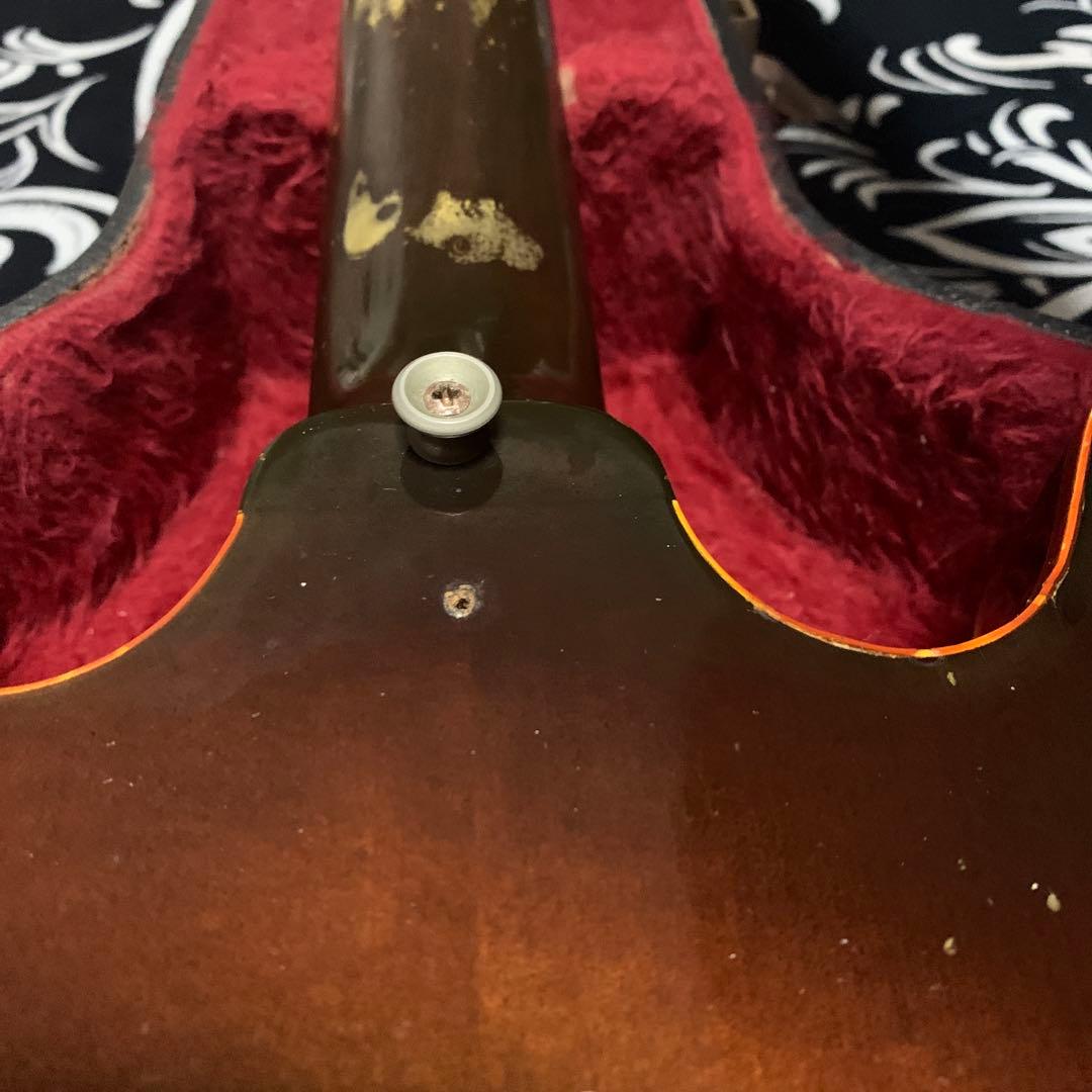 【調整済】EDWARDS E-SA-118LT / TBS