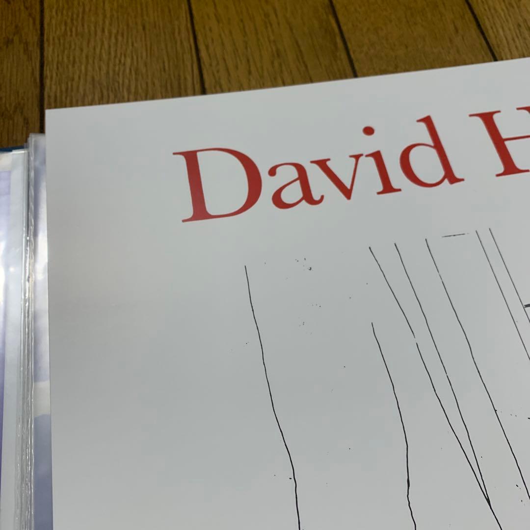 【残1枚】デイヴィッド・ホックニー展 海外ポスター④ A2版 Louisiana