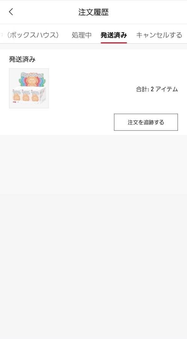 ✨️正規品・新品未開封・シュリンク付✨️ラブブ Big into Energy