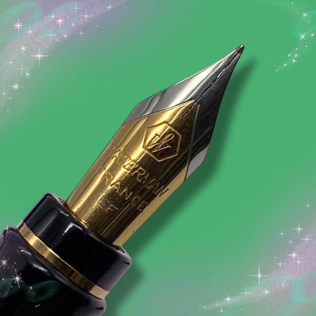 《おそらく未使用》 ウォーターマン 万年筆 エキスパートエッセンシャル