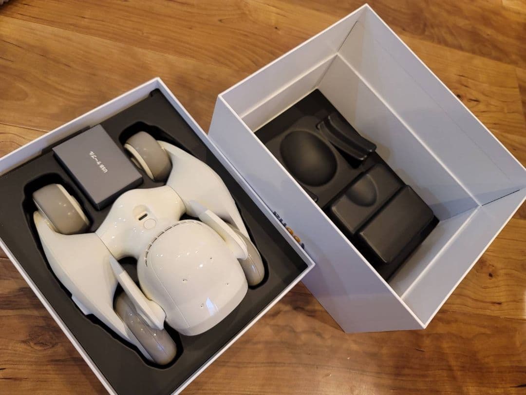 美品 AIロボット Loona Blue 2024年購入・動作確認済・付属品完備