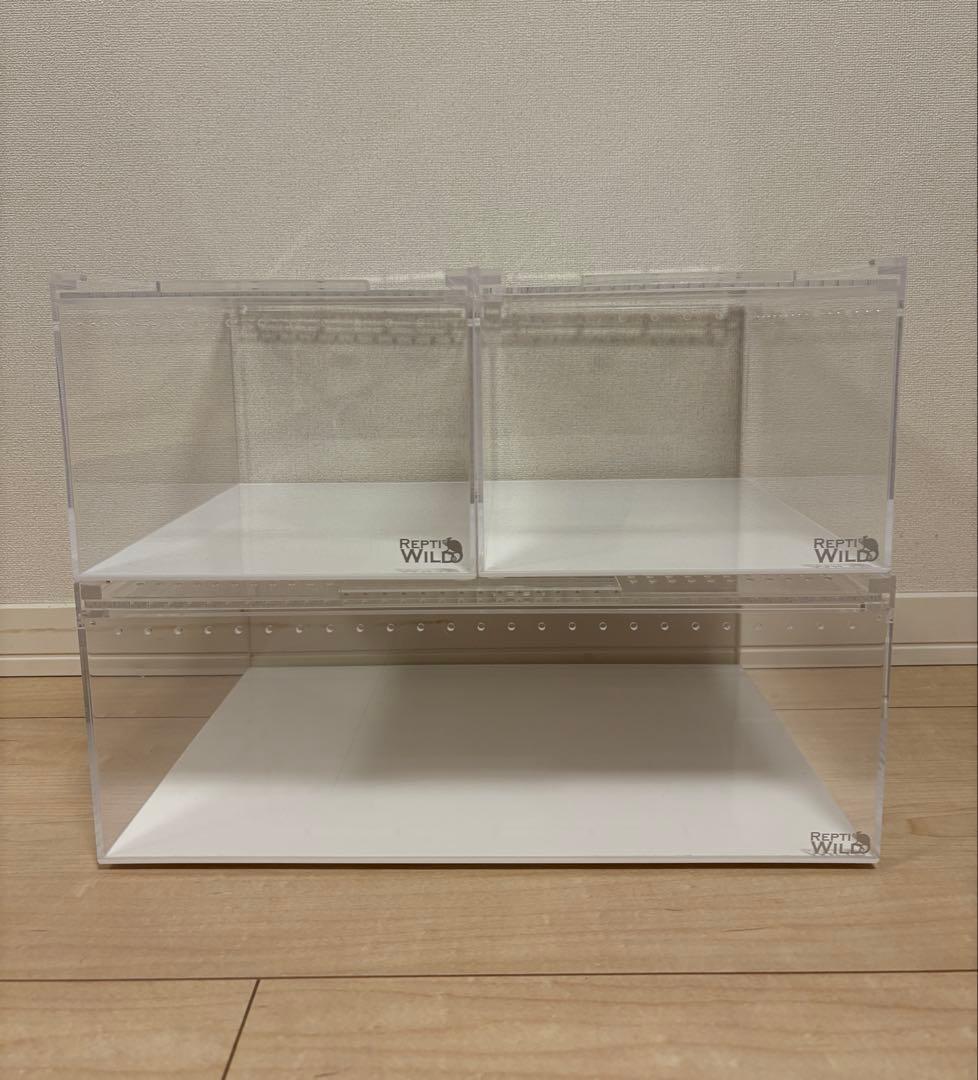 REPTI WILD レプタイルボックス 2個　ワイド　1個