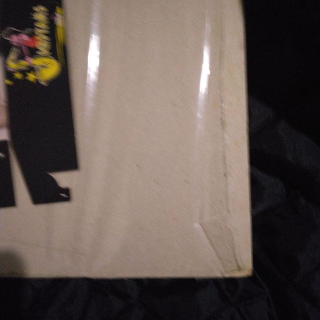 MADONNA 250ピースパズル 未開封