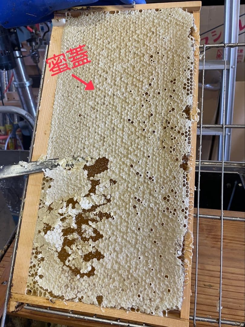 国産天然蜜蝋　ミツロウ　2KG　扱いやすいビーズ型