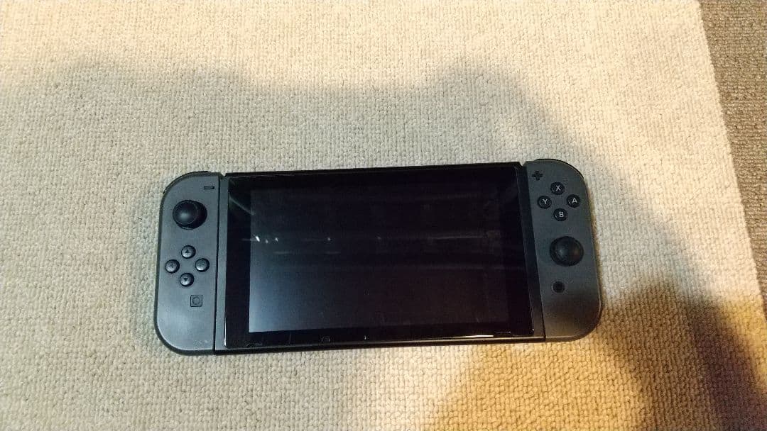 Nintendo Switch グレー ケース付き