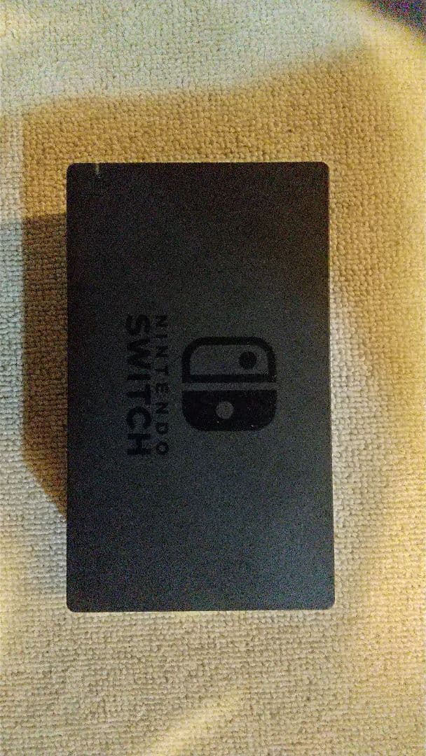 Nintendo Switch グレー ケース付き