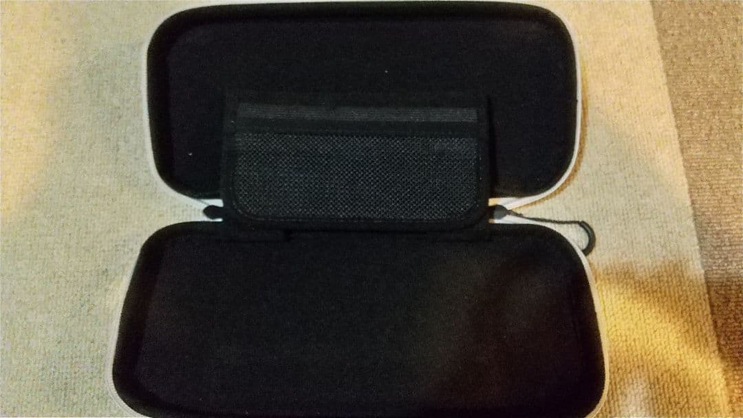 Nintendo Switch グレー ケース付き