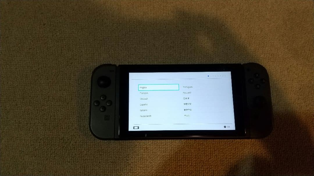 Nintendo Switch グレー ケース付き