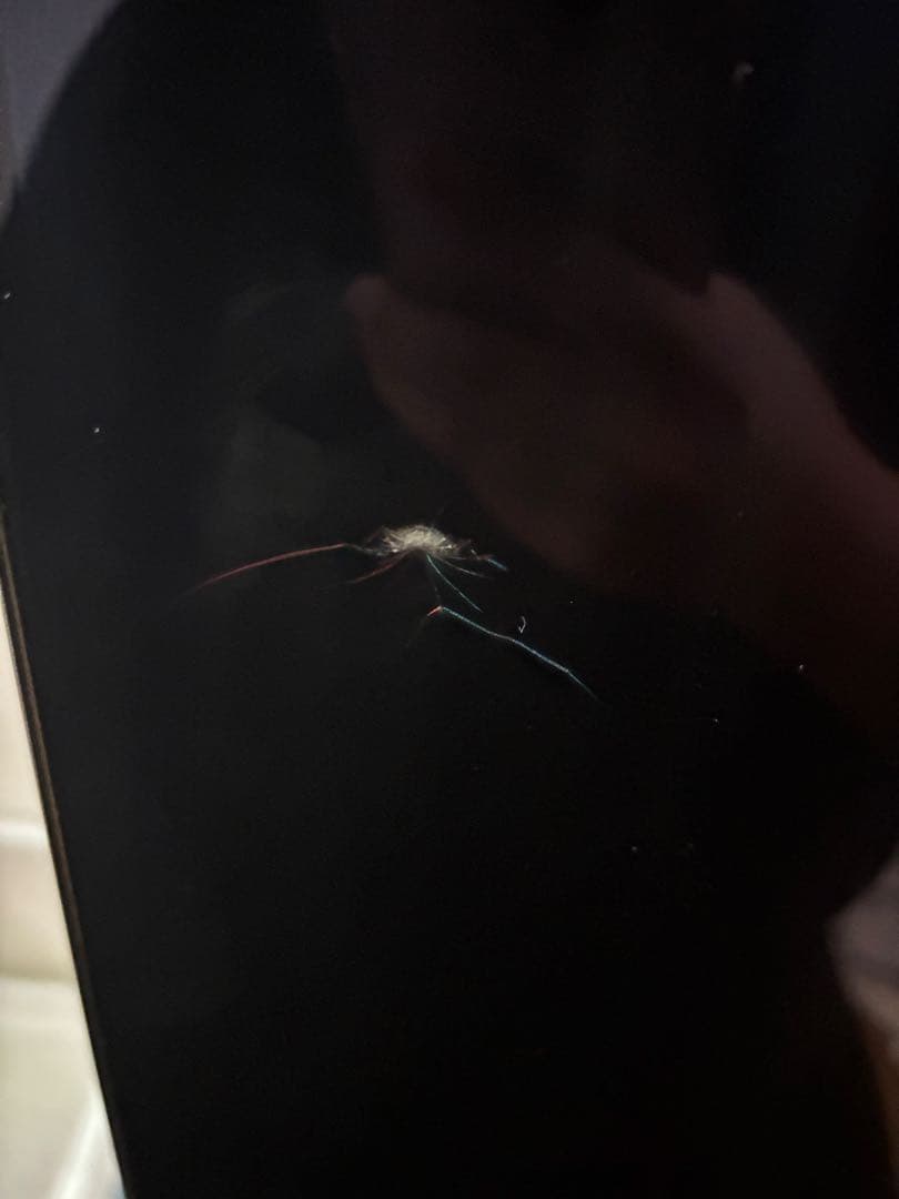 ゆー様 有機EL SHARP 4T-C65CQ1 液晶割れ【ジャンク品】