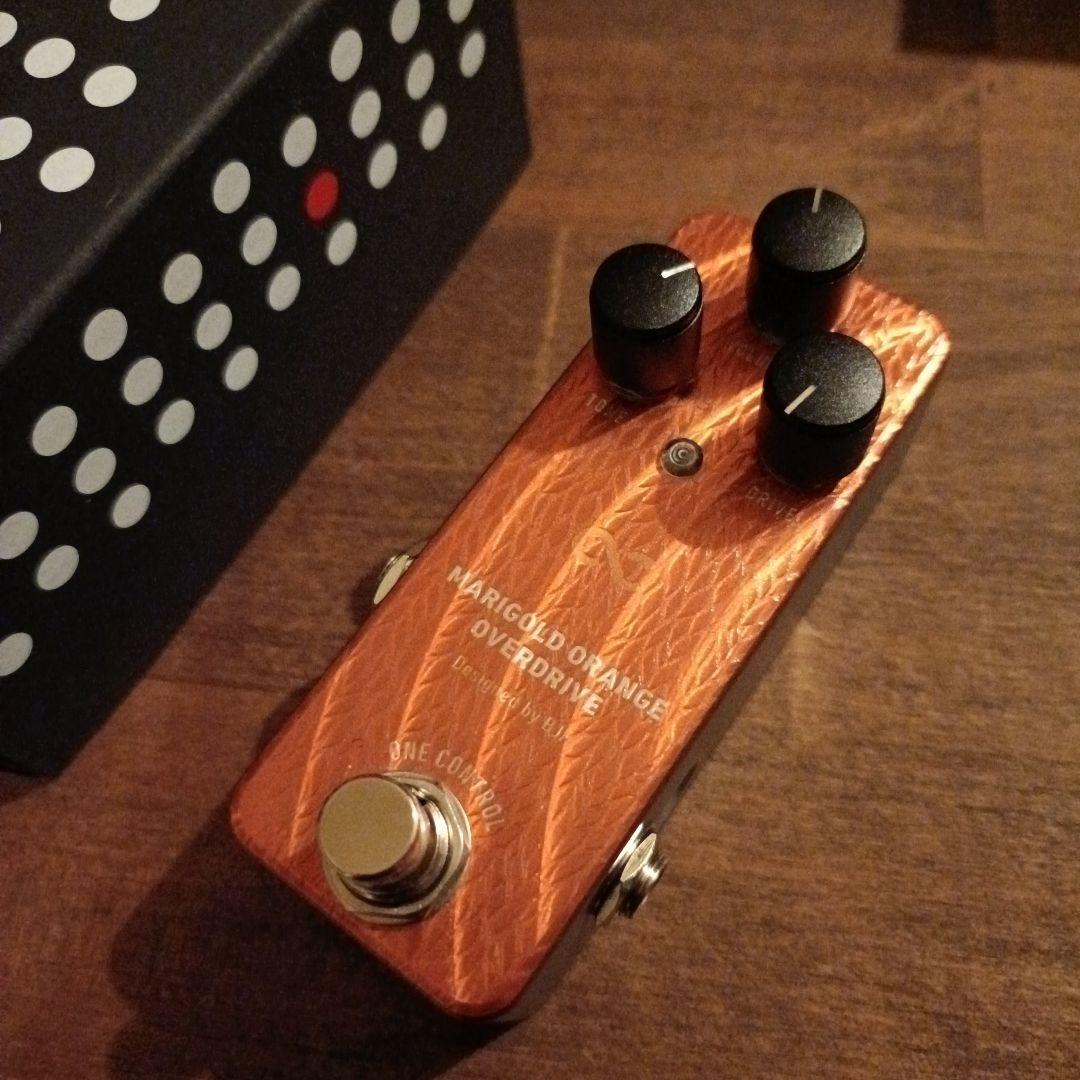 10月31まで！MARIGOLD ORANGE OVERDRIVE