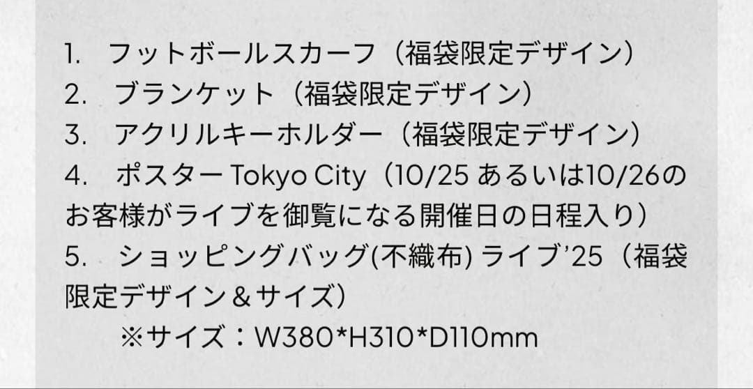OASIS LIVE25 東京ドーム公演　新春福袋限定グッズ5点セット