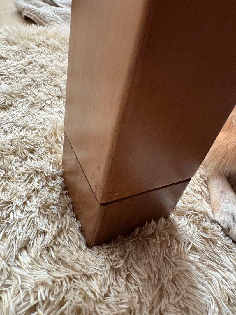 木製こたつ ウォールナット・メープル