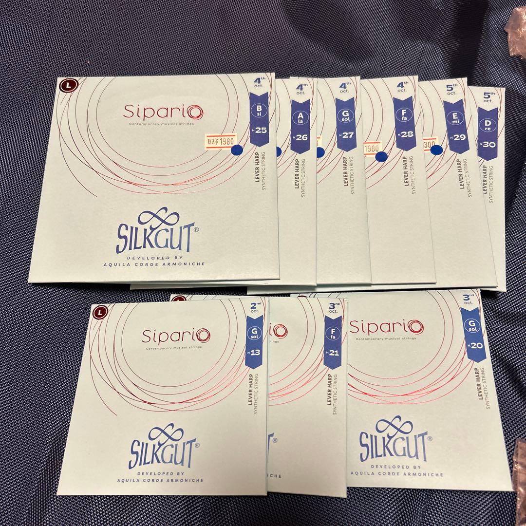 ♪Salvi レバーハープ34弦♪Mia(３年)総額44万相当ソフトケース付
