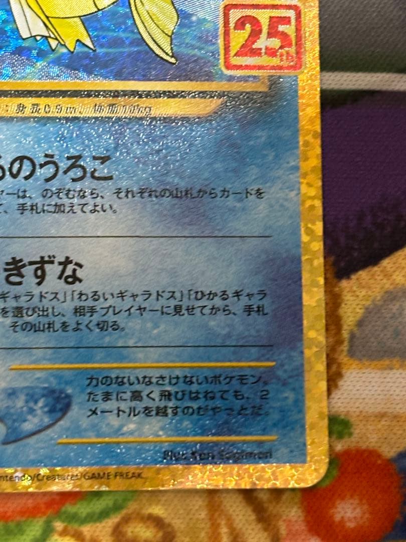 ひかるコイキング 25th