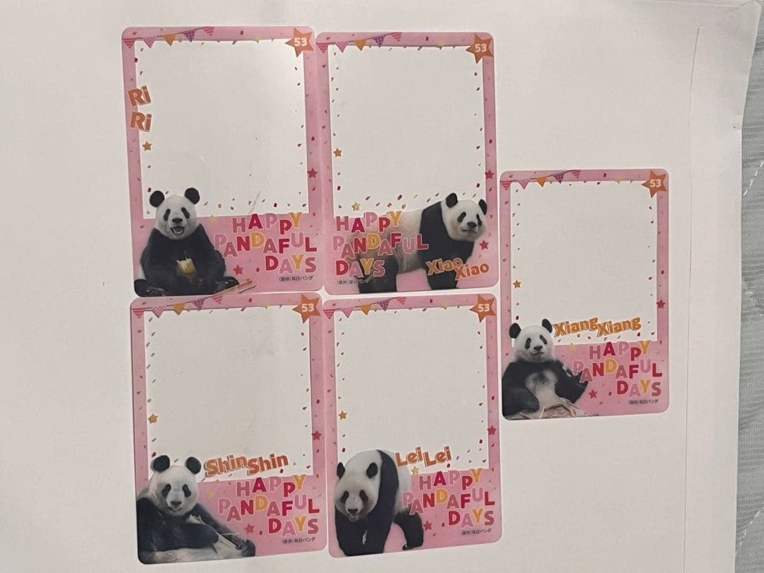 松坂屋 ハッピーパンダフルディズ 5枚セット