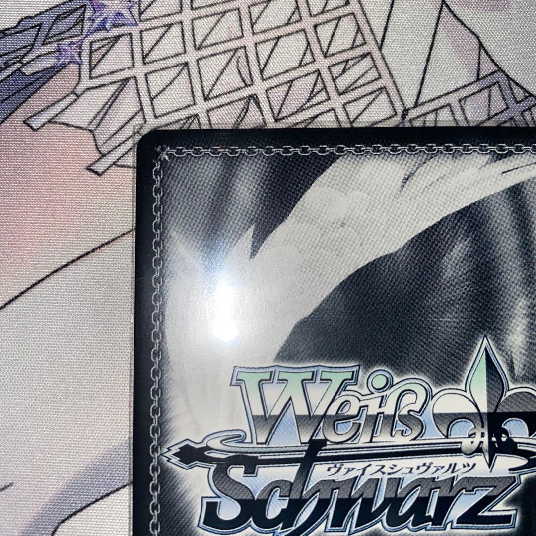 和泉愛依 SSP 新裁断 ヴァイスシュヴァルツ