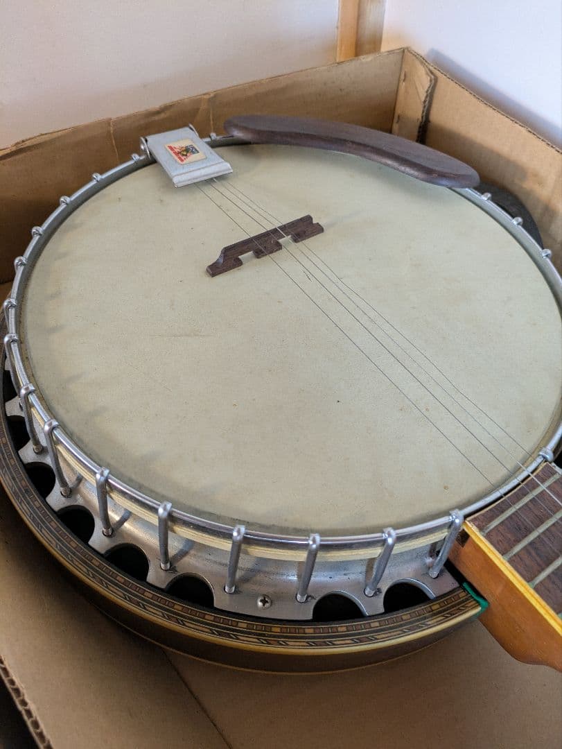 ピアレス　バンジョー5弦　※箱付き