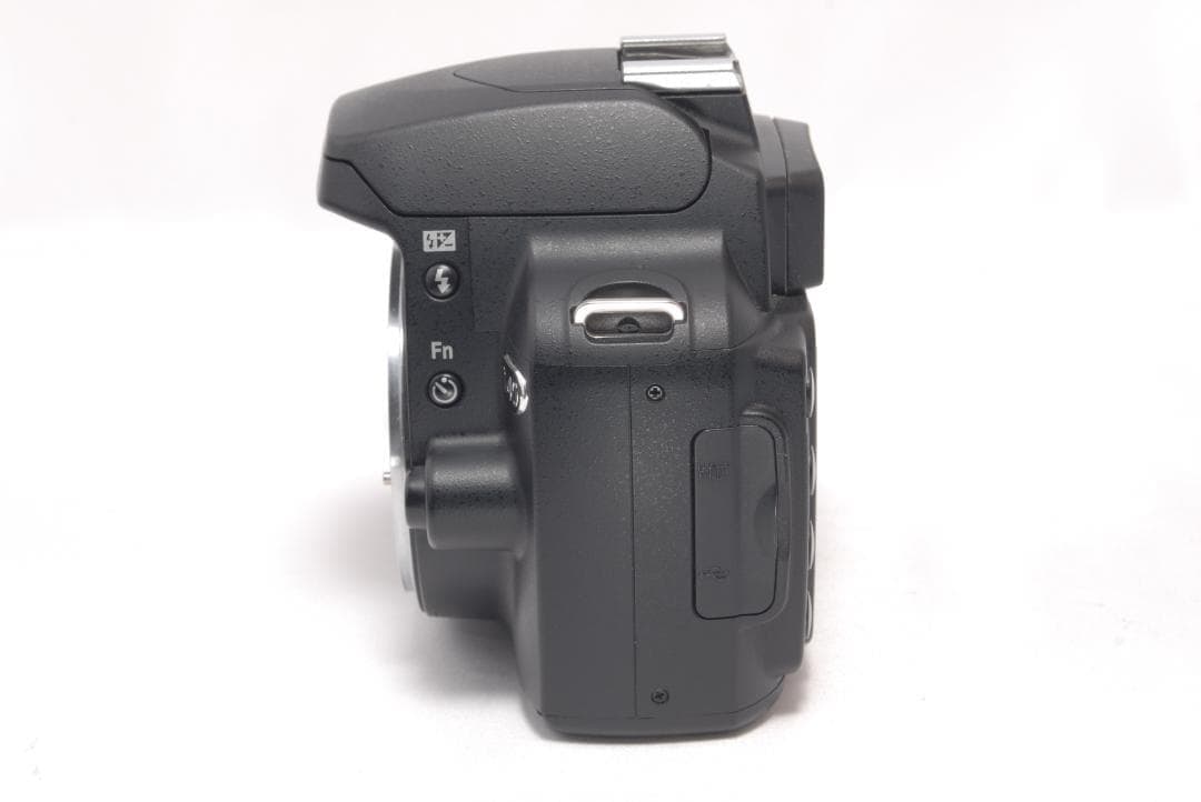 ⭐️簡単操作で安心⭐️Nikon D40　デジタル一眼レフ 高画質　ニコン