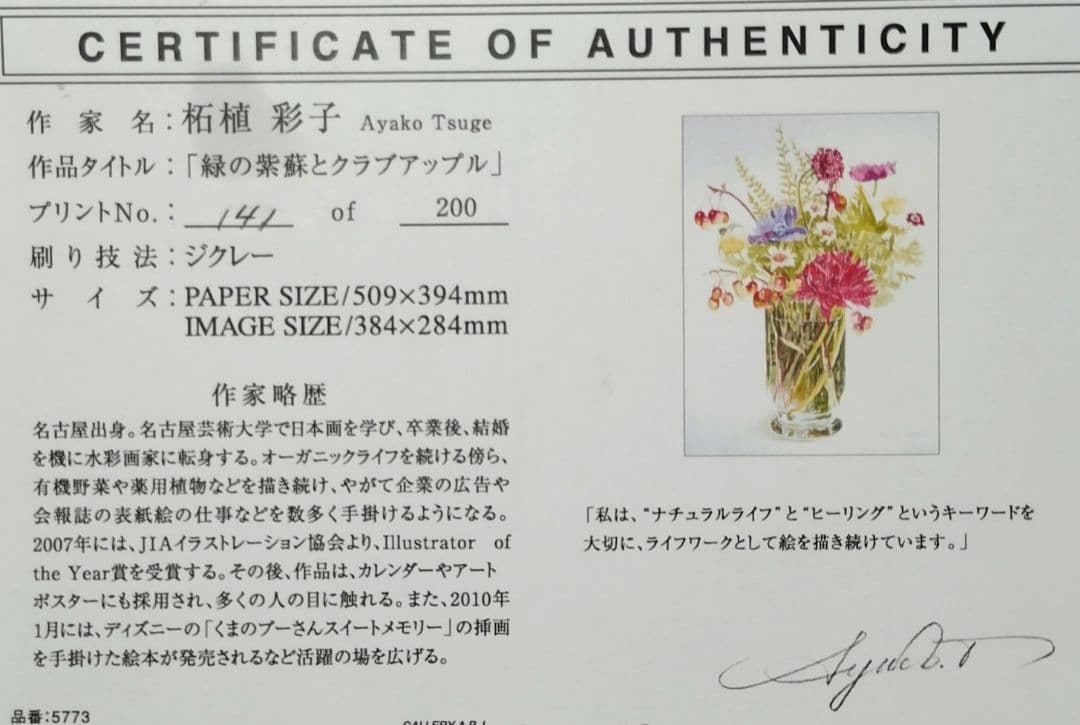 版画 額装品 柘植彩子 花の水彩画 ジクレー 限定 木製フレーム付 ボタニカル