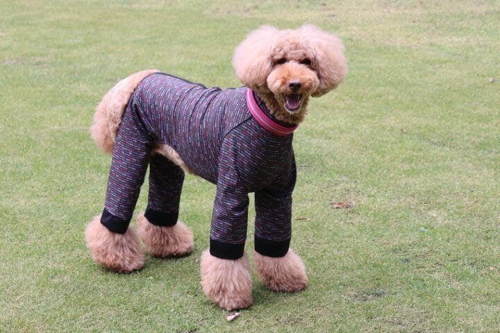 ブラックレッドThePoleOverall Ratia 　 レインコート