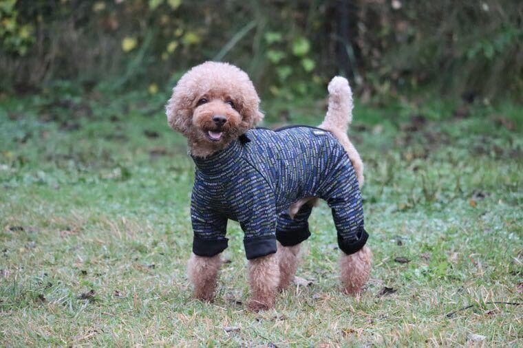 ブラックレッドThePoleOverall Ratia 　 レインコート