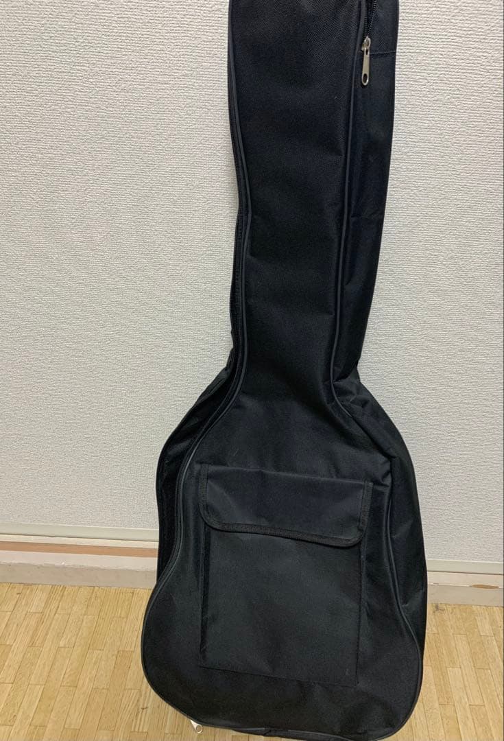 PLAYTECH プレイテック　テレキャスター　エレキギター