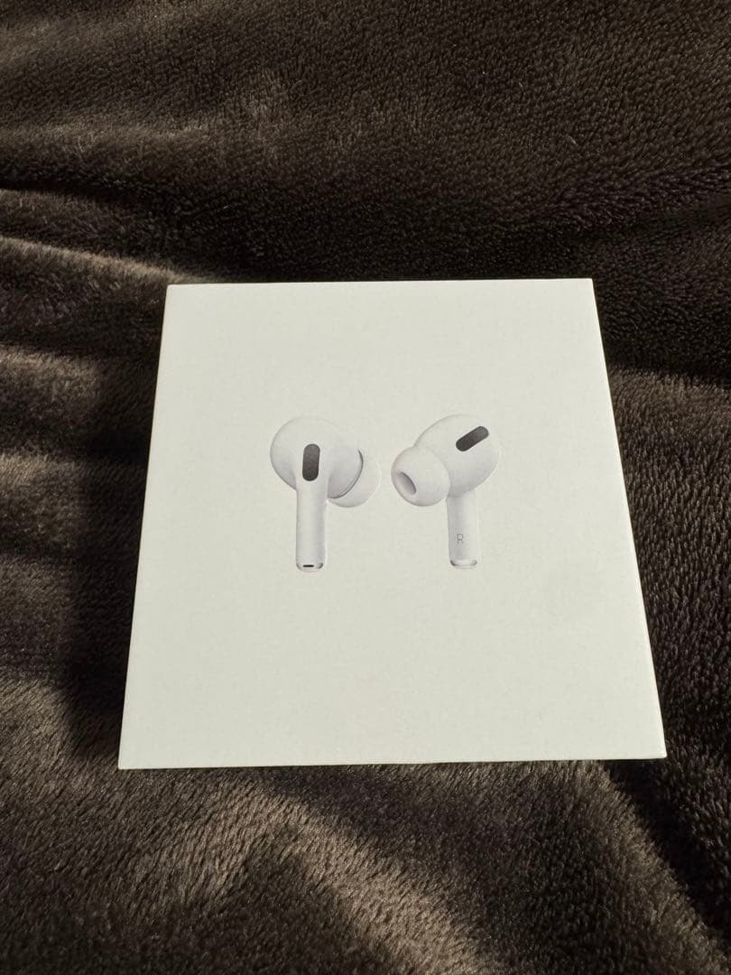 Apple AirPods Pro 第一世代　【中古品•消毒拭き取り済み】