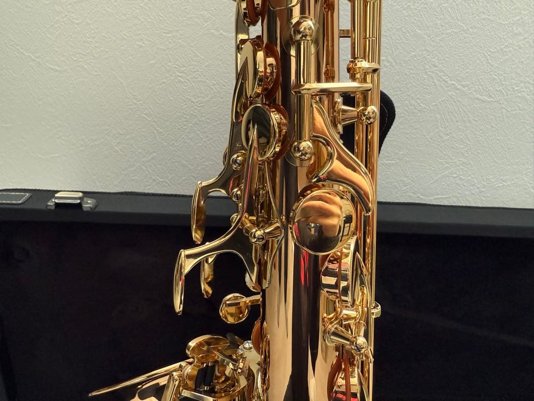 YANAGISAWA アルトサックス A-WO2