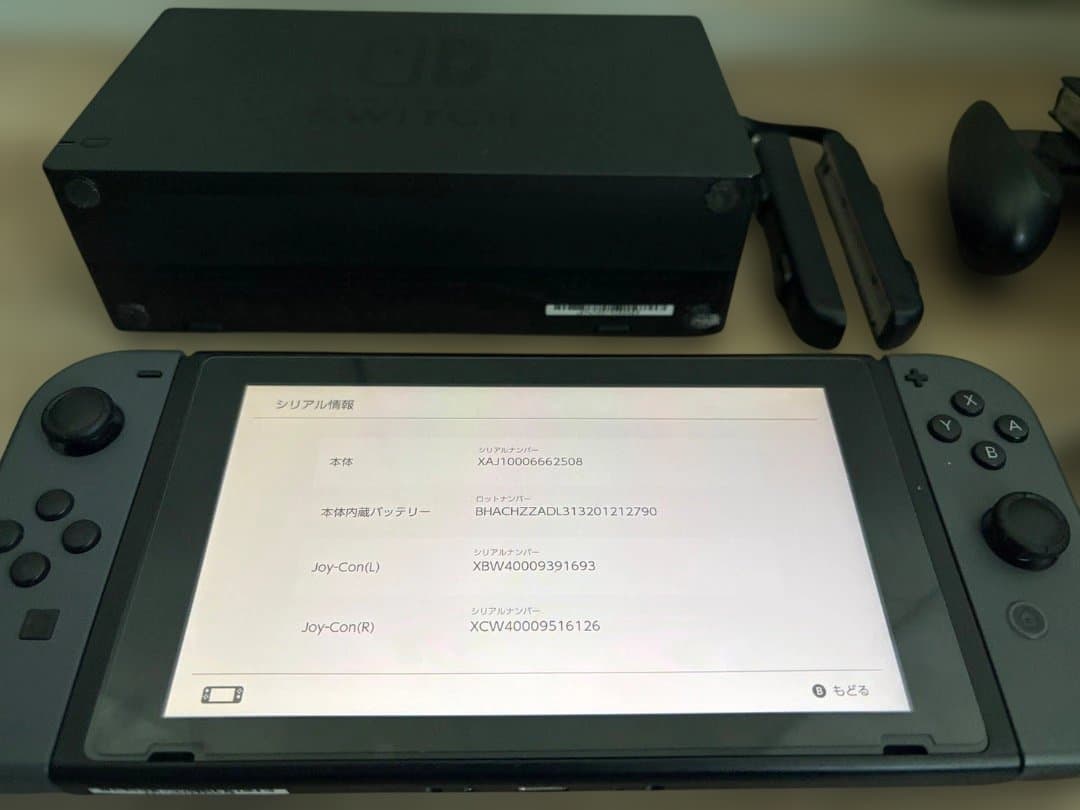 【訳あり特価】Switch 本体セット 未対策機 初期型（ジョイコン難あり）