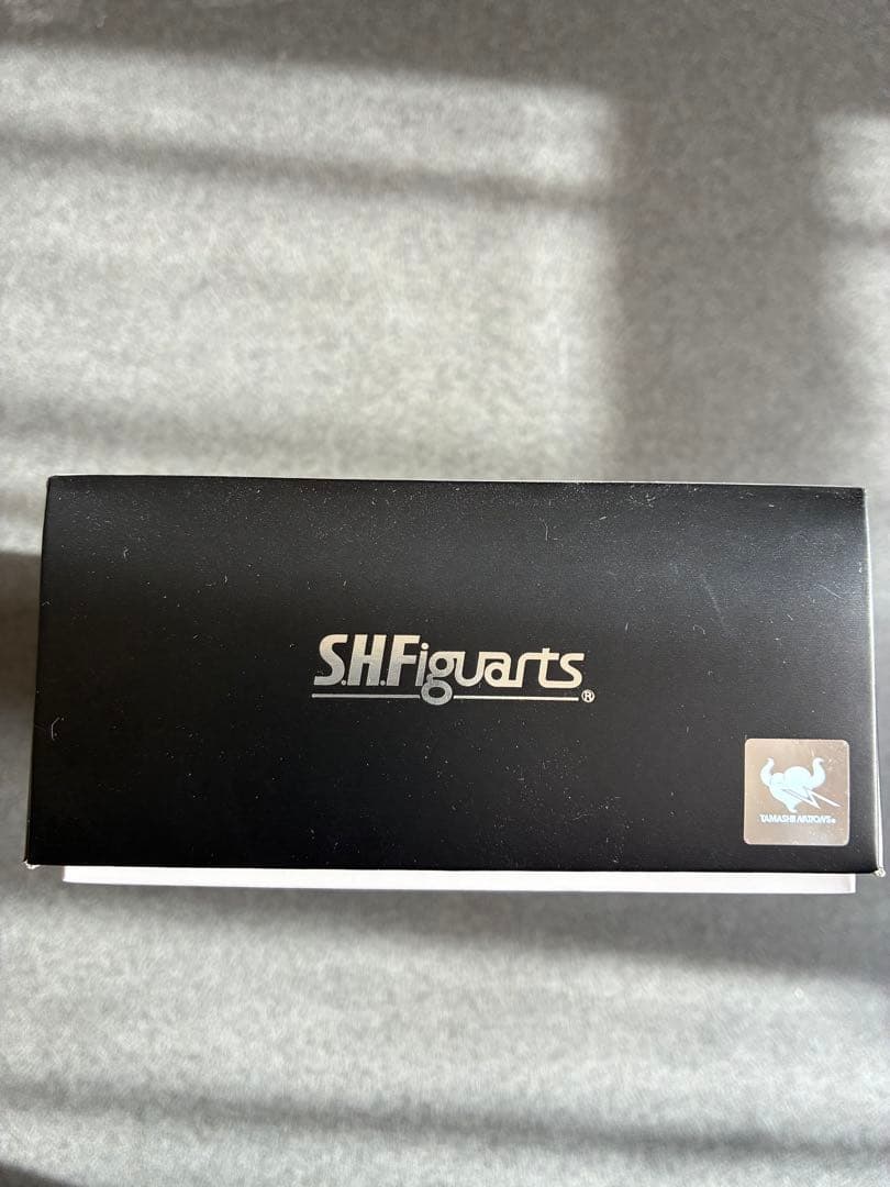 真骨彫製法　仮面ライダーエターナル