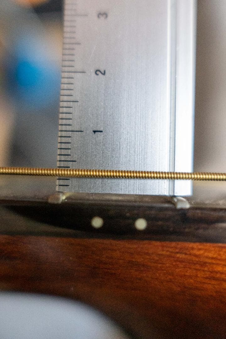 Recording King RO-G6 【美品】OOOタイプ 新品ギグバッグ