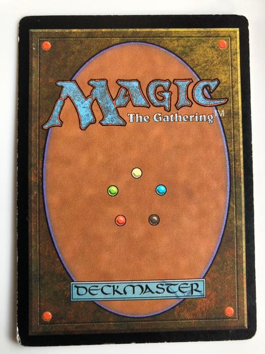 MTG 日本語　吸血の教示者 6ED 2枚