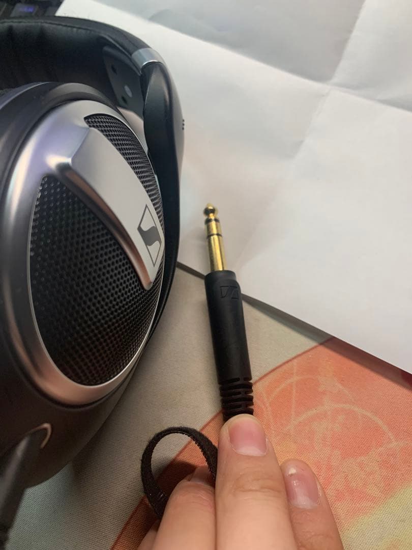 う*う様 Sennheiser HD 599SE