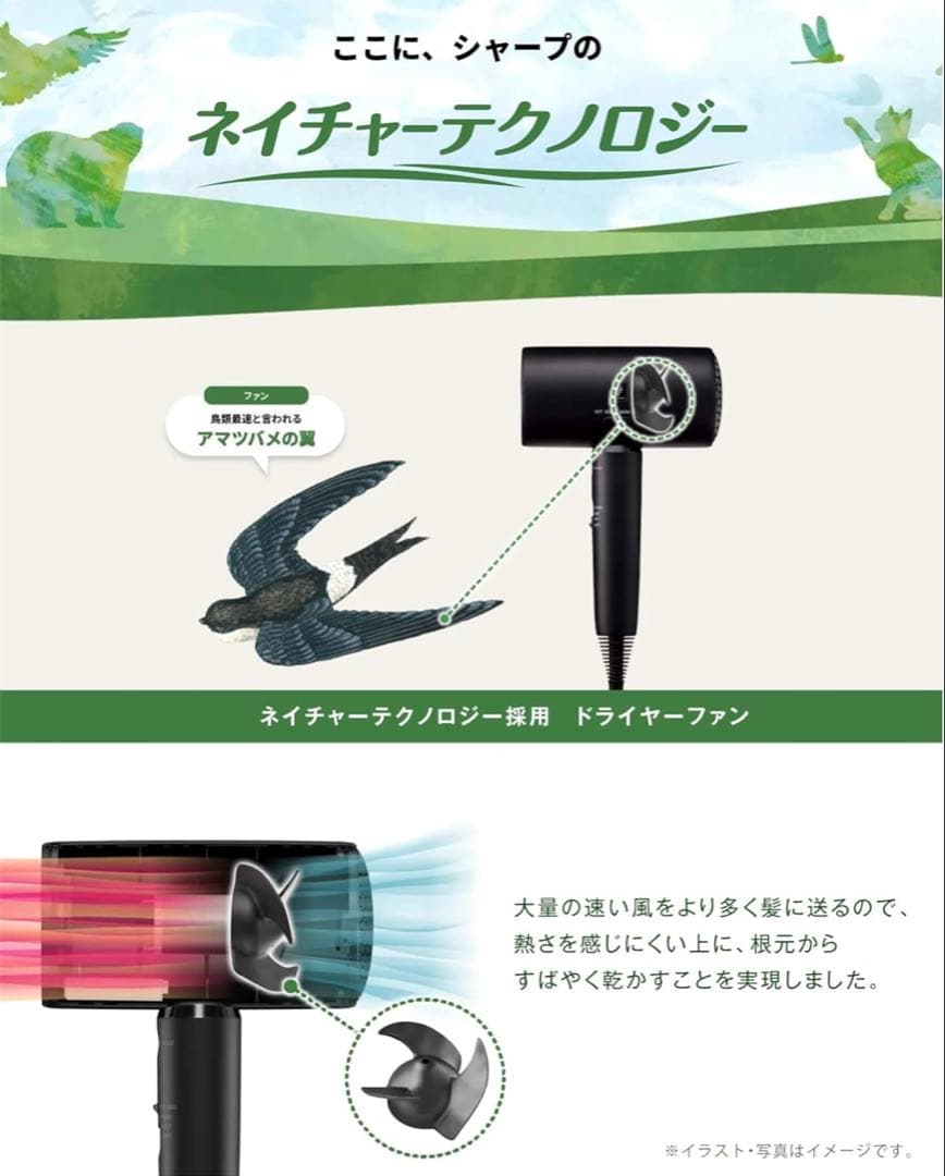 美品　SHARP ドライヤー IB-P801-W ルミナスホワイト