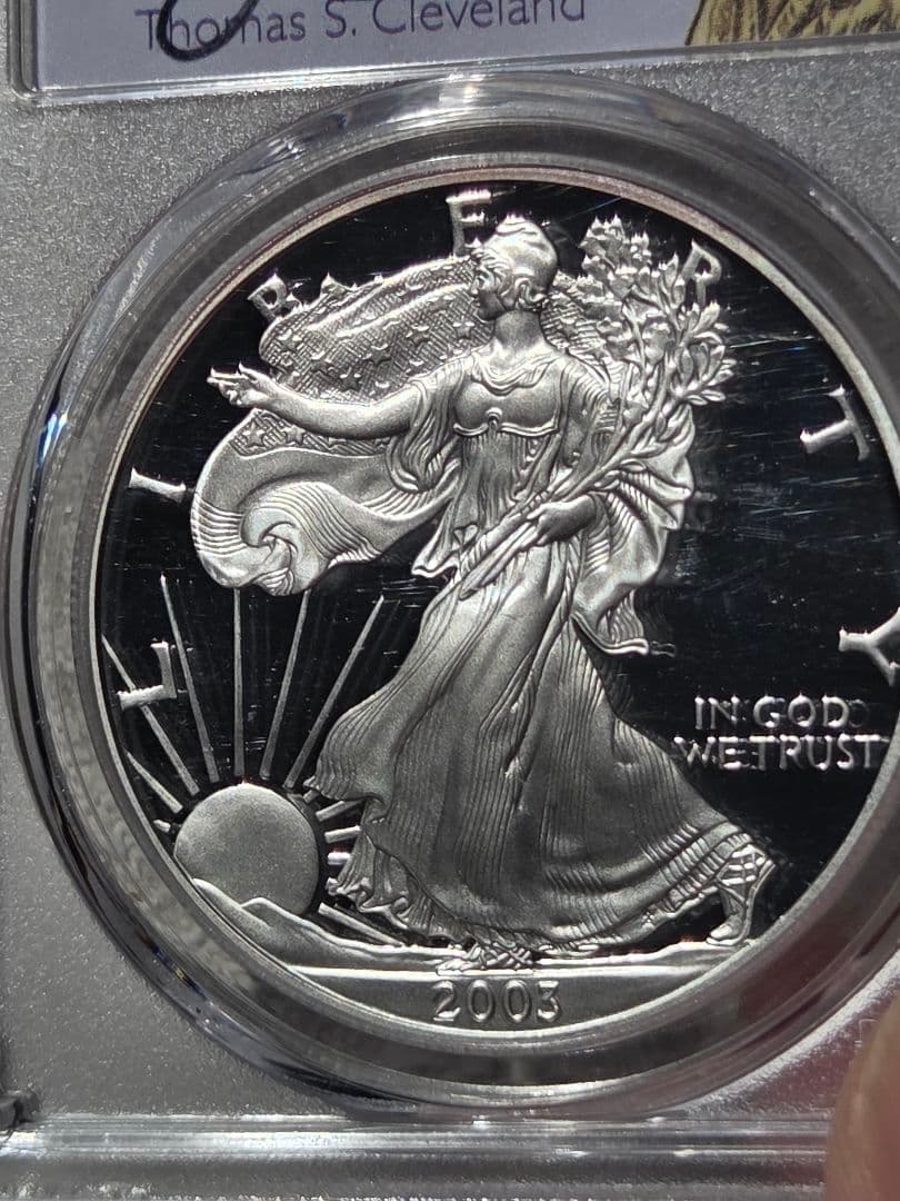 (PR69 DCAM)アメリカ合衆国　シルバー イーグル銀貨　2003 W