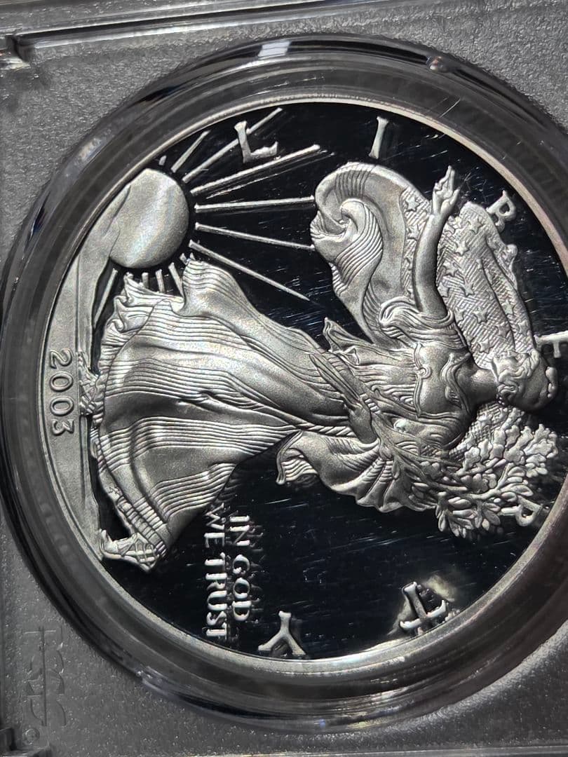 (PR69 DCAM)アメリカ合衆国　シルバー イーグル銀貨　2003 W