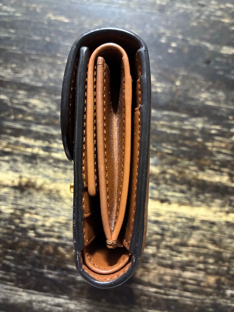 スモール フラップウォレット トリオンフ / シャイニーカーフスキン