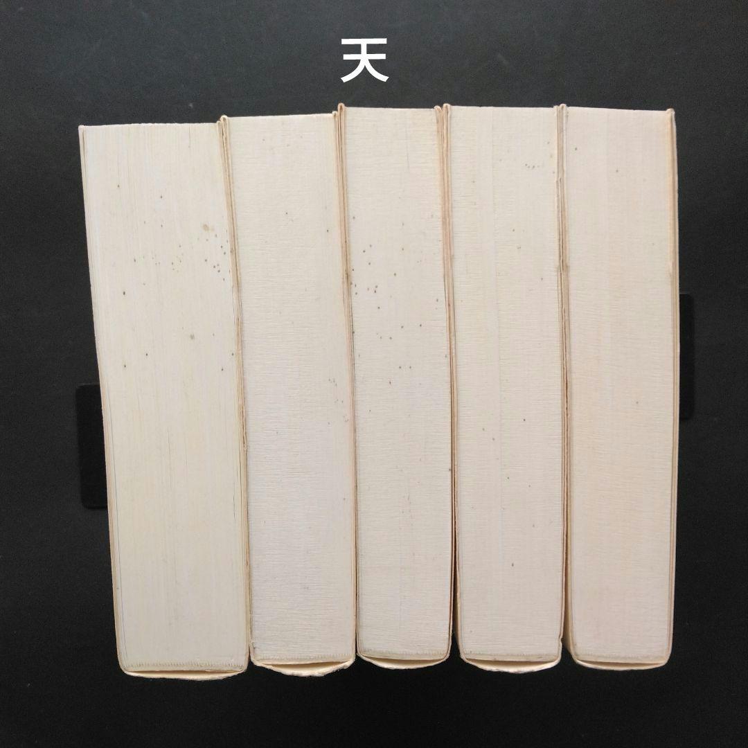 全初版 普及版「地中海」 全五巻 フェルナン・ブローデル 藤原書店 歴史 地理