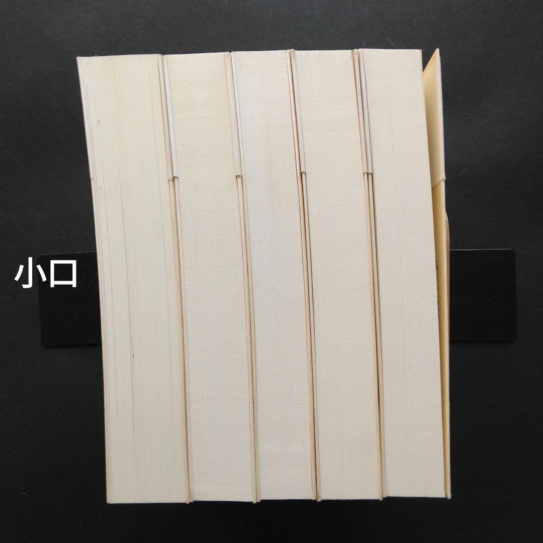 全初版 普及版「地中海」 全五巻 フェルナン・ブローデル 藤原書店 歴史 地理