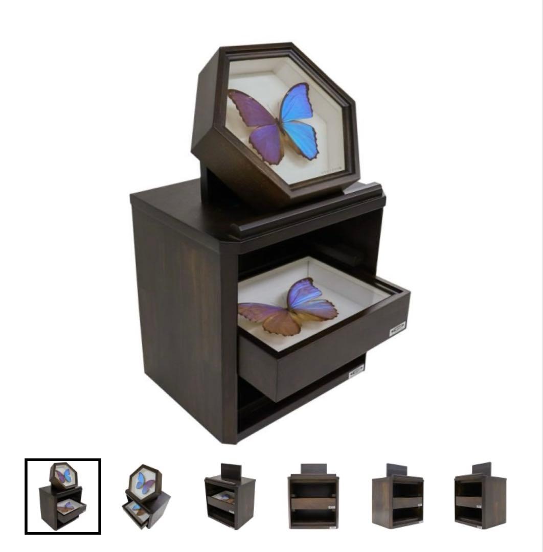 T-WOOD製　標本箱収納(小箱用3段)