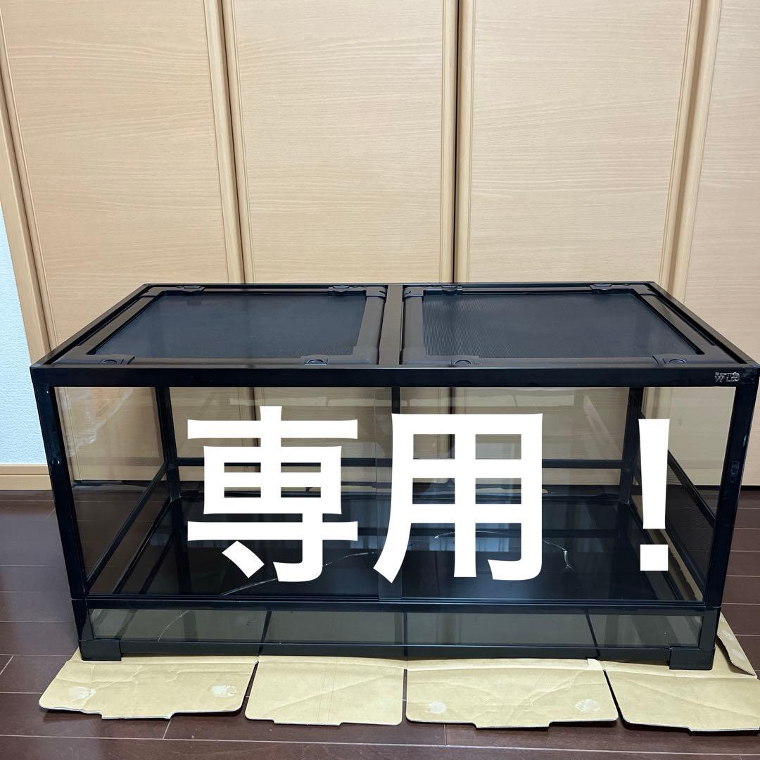 REPTI WILDパンテオン ブラック　BK9045