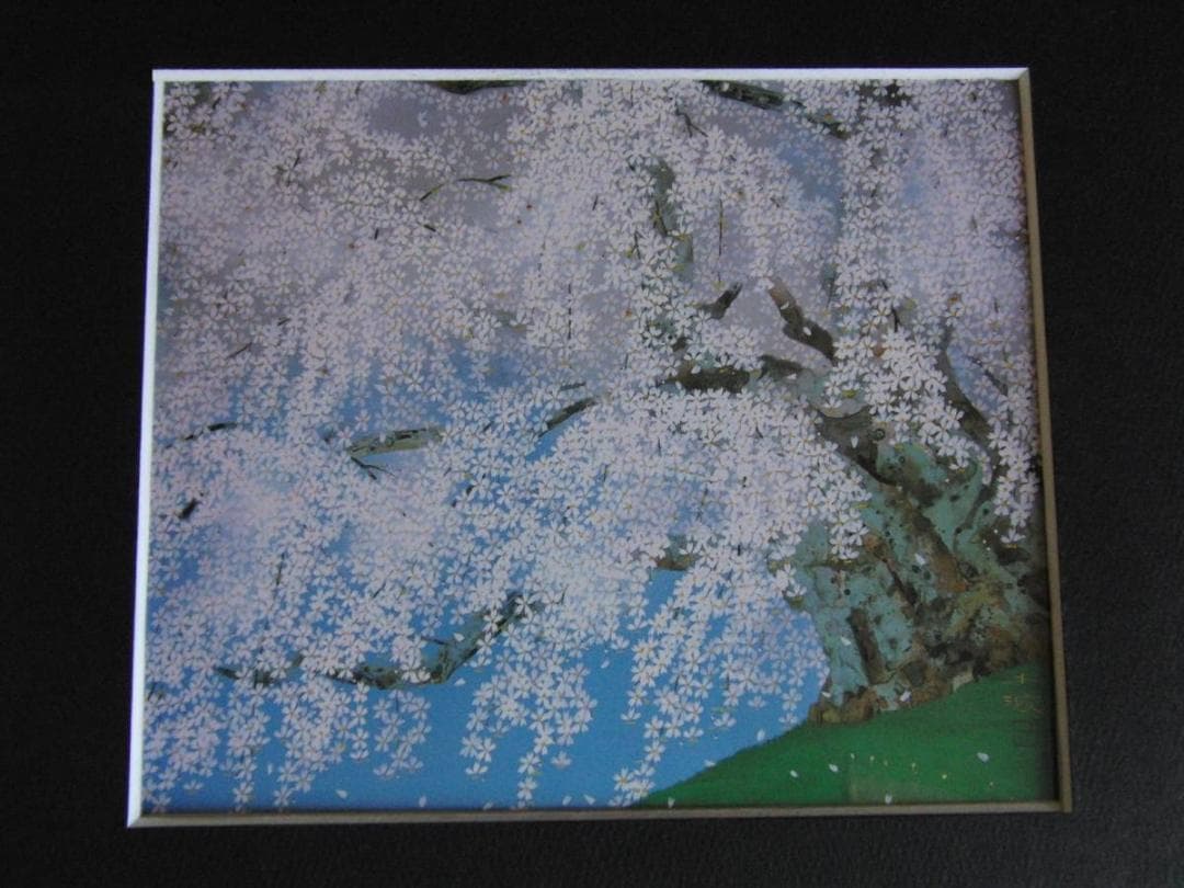 中島千波、【三春櫻花爛漫】、希少な額装用画集より、新品額装付、状態良好