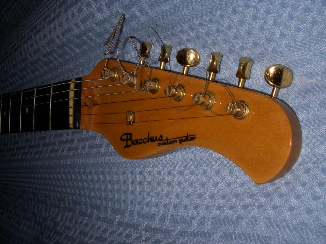 ギター Bacchus custom