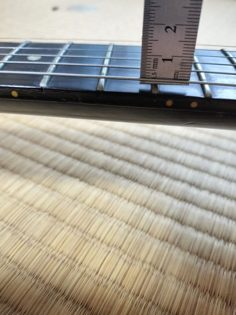 【値下要相談】GibsonギブソンUSA　SGリミテッドエディションエボニー指板