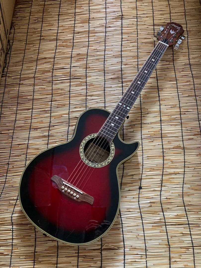 猫*様 ☆新年値下　アクティブコントローラを追加　エレアコ　Legend by