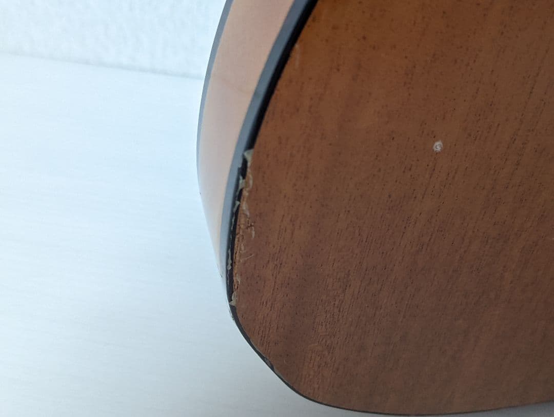 FGN フジゲン テレキャスター