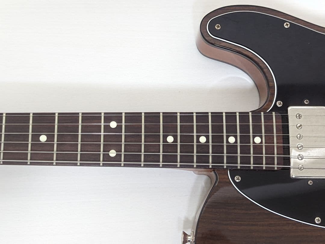 FGN フジゲン テレキャスター