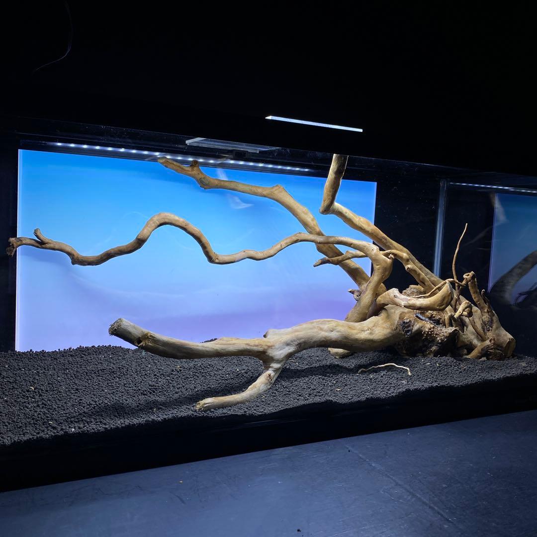 MDW-6431 ブランチウッド3本セット　90cm水槽用流木セット　枝流木