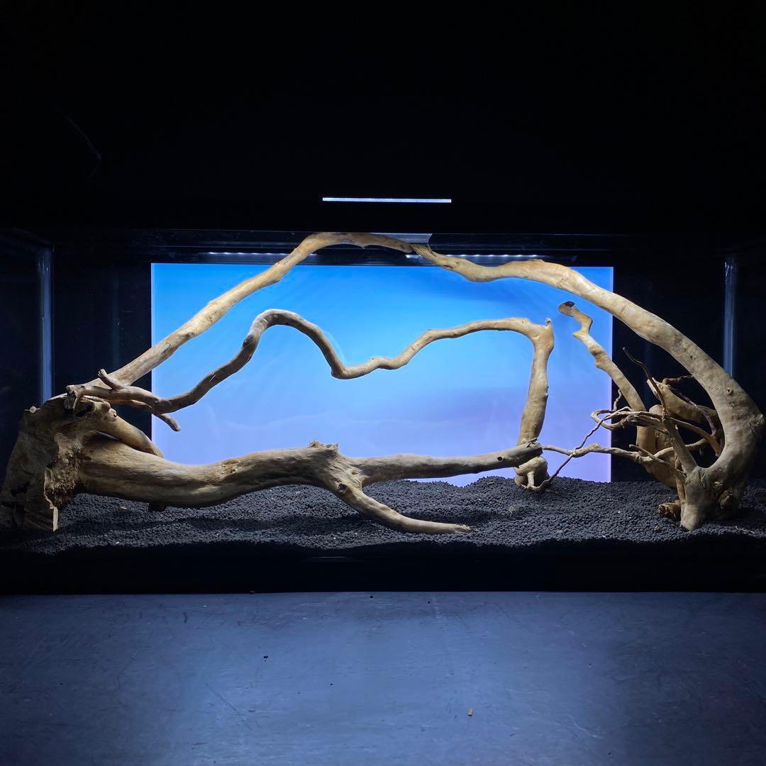 MDW-6431 ブランチウッド3本セット　90cm水槽用流木セット　枝流木