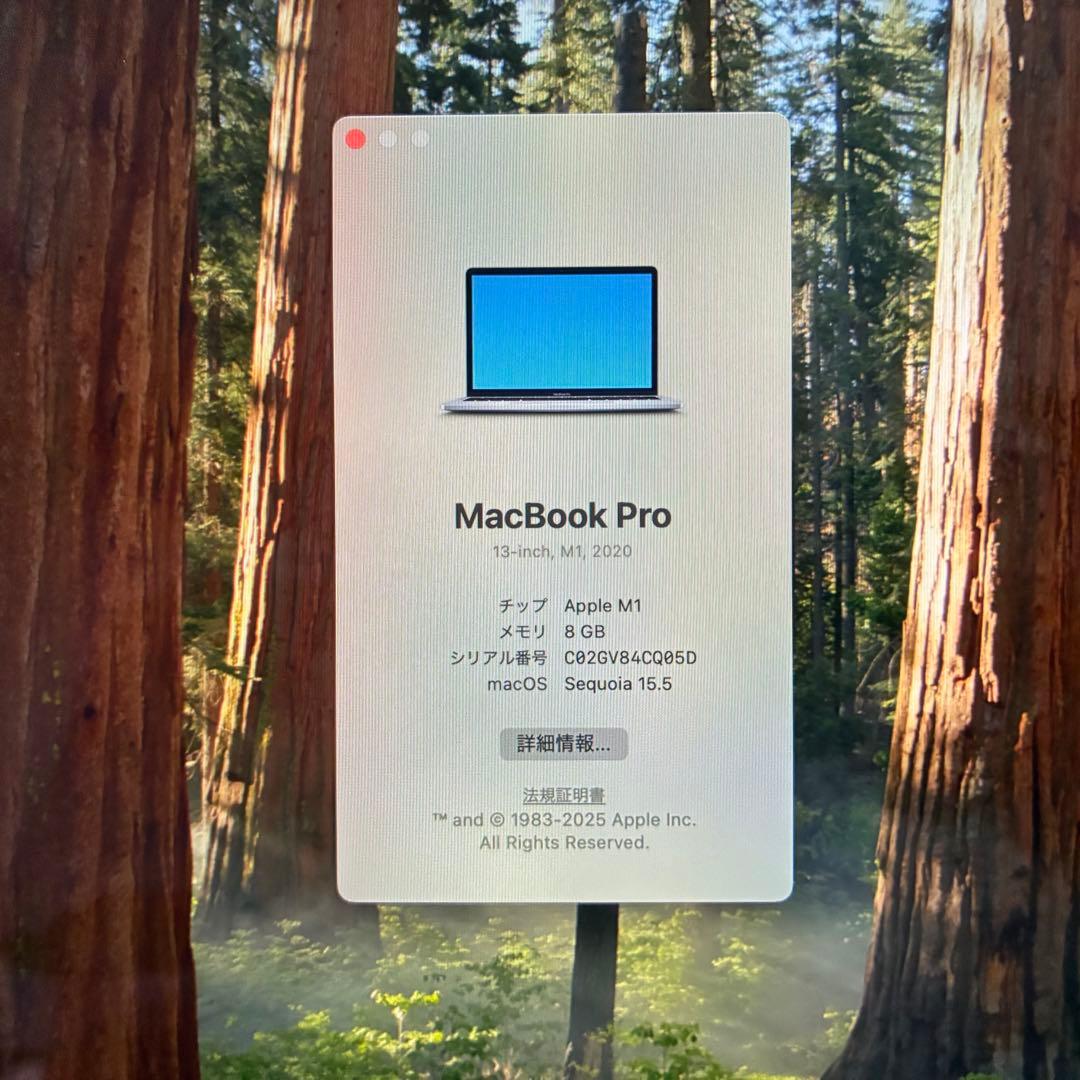 MacBook Pro(M1,2020) 8GB/256GB バッテリー100%